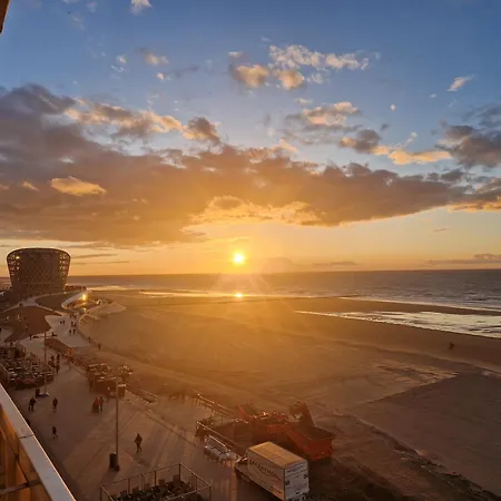 Seasight Toplocation *